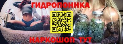 альфа пвп Ачхой-Мартан