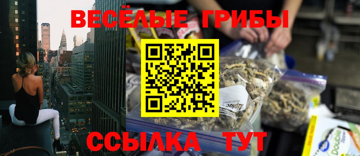Галлюциногенные грибы прущие грибы Верхняя Пышма